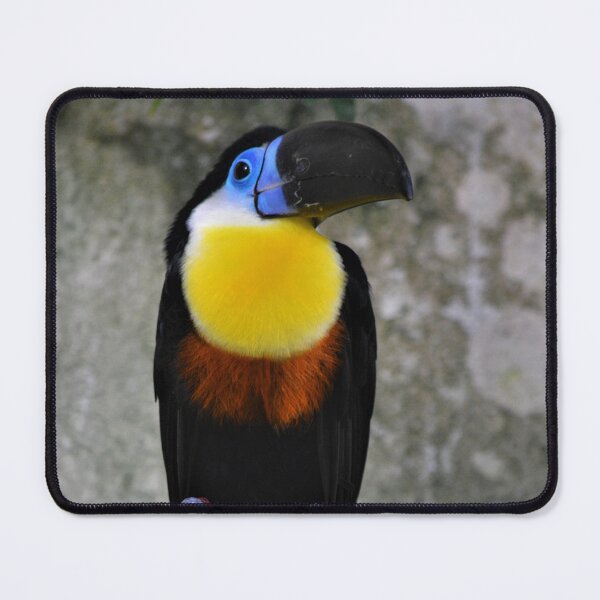 Item preview, Colorful Toucan perched on a branch. designed and sold by Kanchan1987.
