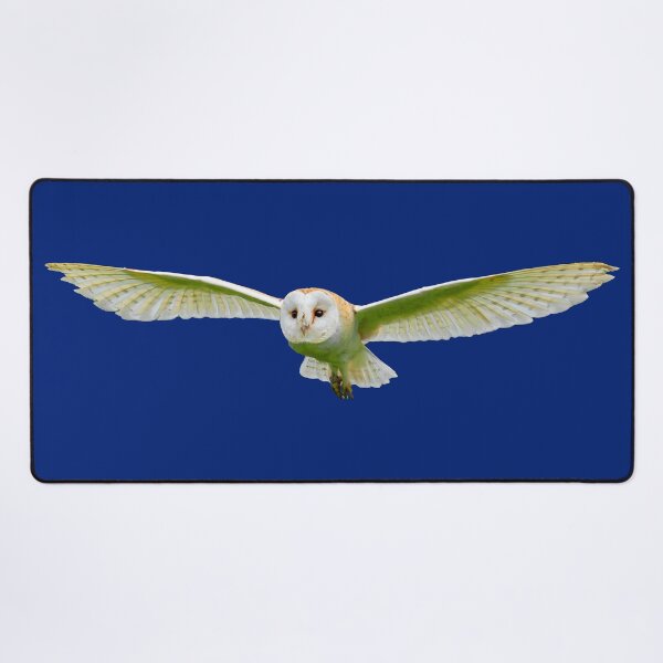 Item preview, Barn Owl flying towards you designed and sold by Dalyndigital Photography.