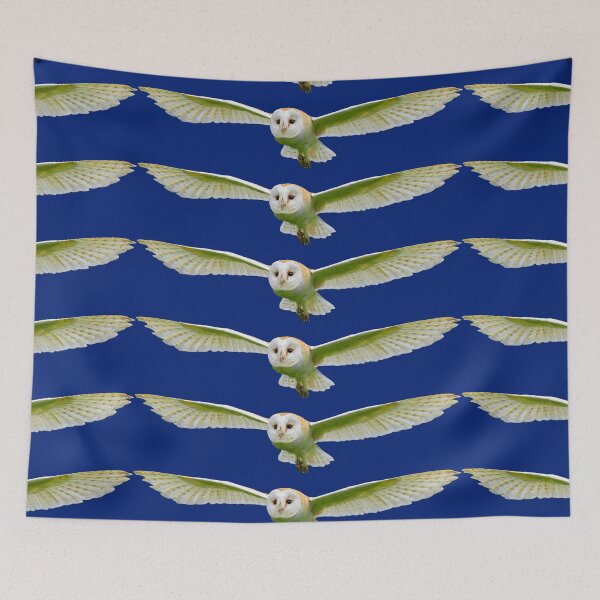 Item preview, Barn Owl flying towards you designed and sold by Dalyndigital Photography.