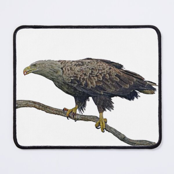 Item preview, Sea eagle on a tree branch designed and sold by slikar.