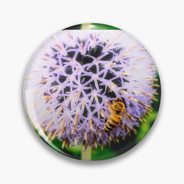 Item preview, Bee On Small Globe Thistle 6 designed and sold by Robert Alsop.