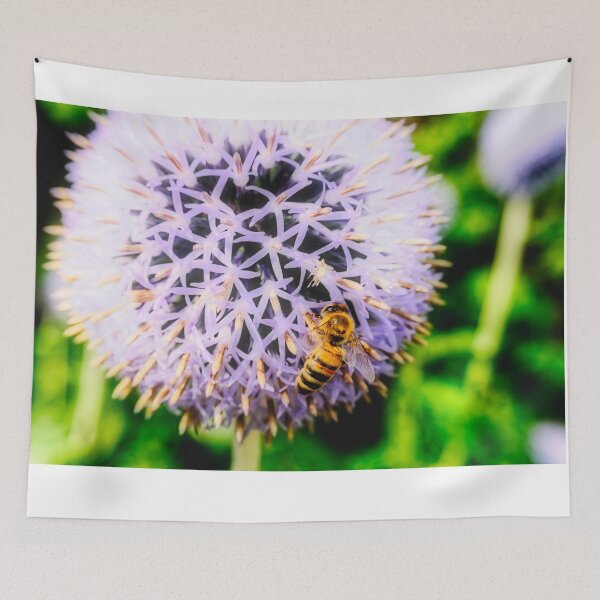 Item preview, Bee On Small Globe Thistle 6 designed and sold by Robert Alsop.