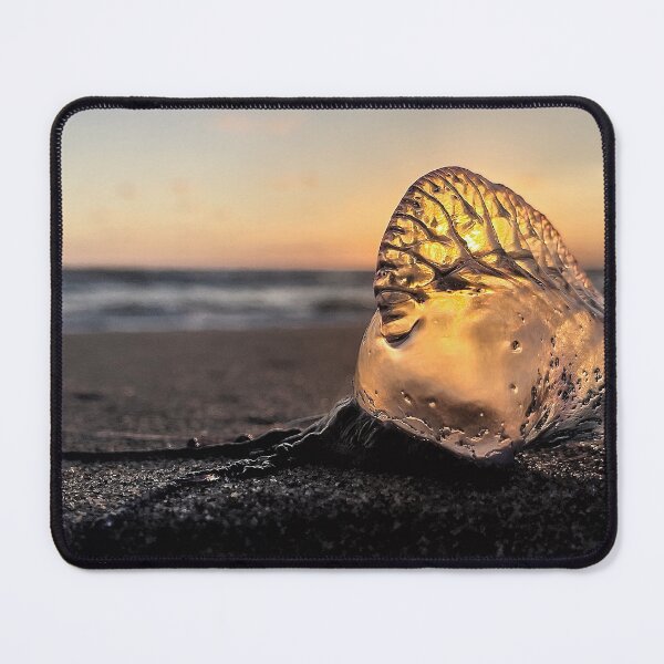 Item preview, Portuguese Man O' War designed and sold by Jason Tompkins.