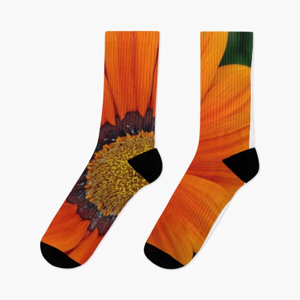 Item preview, Orange Gazania African Daisies Summer Flower designed and sold by AndyEvansPhotos.