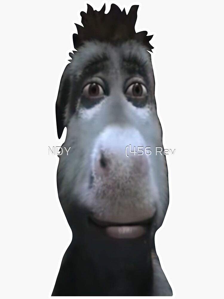 "donkey stare meme, donkey lightskin stare meme, lightskin stare rizz