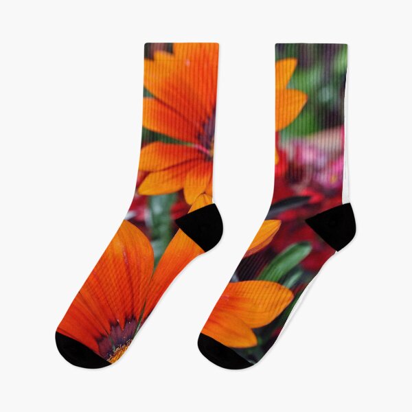 Item preview, Orange Gazania African Daisies Summer Flower designed and sold by AndyEvansPhotos.