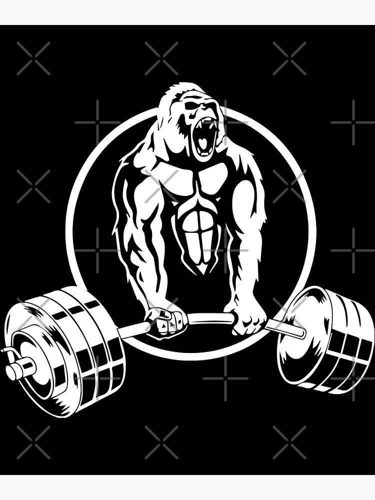 Gorilla Gym Wall Decal Lifting Gorilla Fitness Motivation Muscle Brawn  Barbell Gym Crossfit Sport Poster Workout Inspirational Art