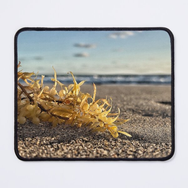 Item preview, Seaweed designed and sold by Jason Tompkins.