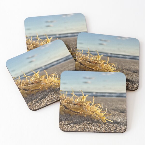 Item preview, Seaweed designed and sold by Jason Tompkins.