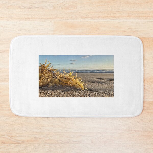 Item preview, Seaweed designed and sold by Jason Tompkins.