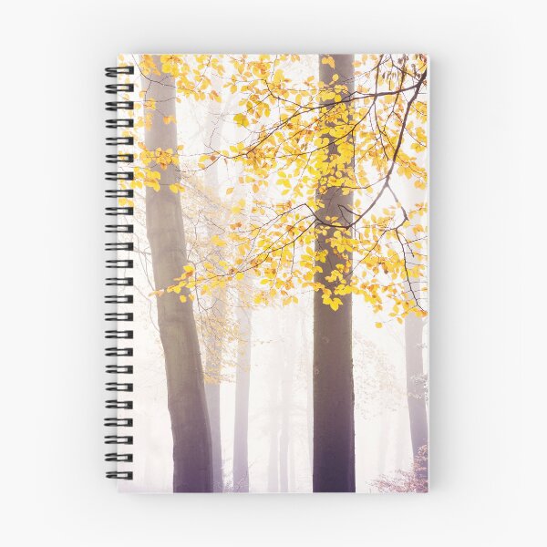 Item preview, Yellow leaves of beech trees, shining bright in the fog designed and sold by Victoria Ashman.