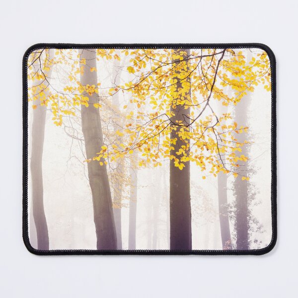 Item preview, Yellow leaves of beech trees, shining bright in the fog designed and sold by Victoria Ashman.