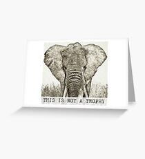 This is not a trophy - Save the Elephants Greeting Card