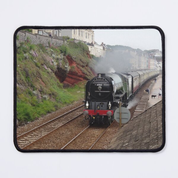Item preview, British Railways 60163 Tornado at Dawlish designed and sold by Rorymacve.