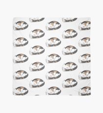 Cleo the Cat Scarf