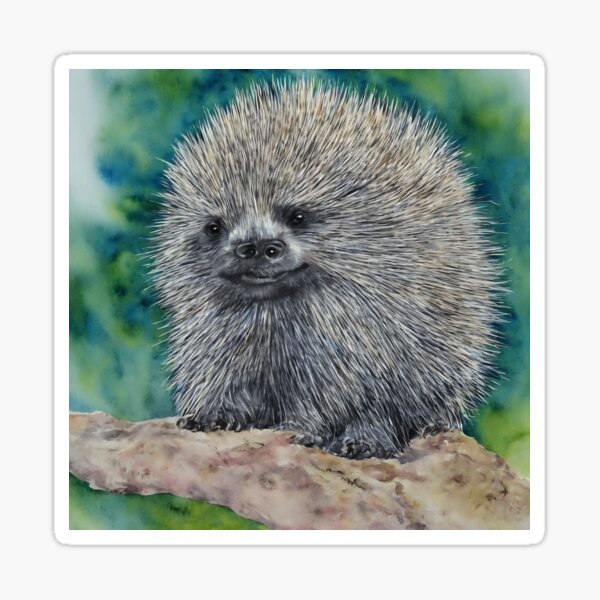 Item preview, Porcupine highly detailed watercolor painting designed and sold by DrawItOnce.