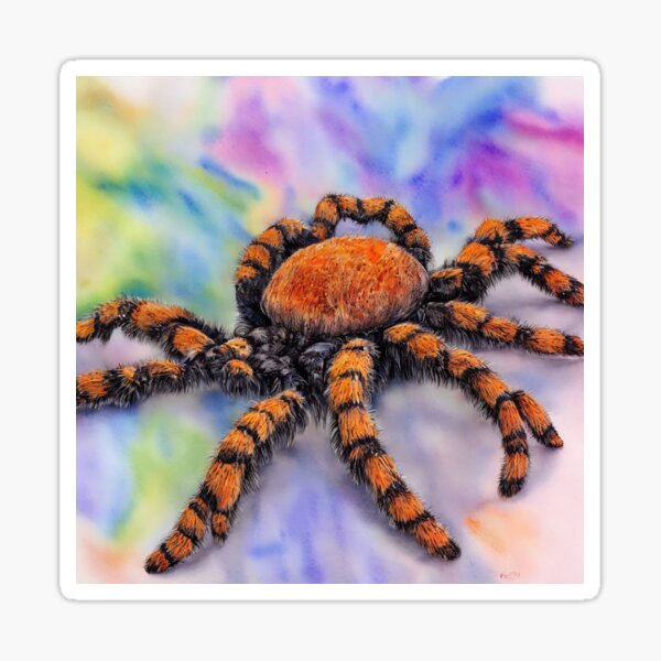 Item preview, Tarantula highly detailed watercolor painting designed and sold by DrawItOnce.