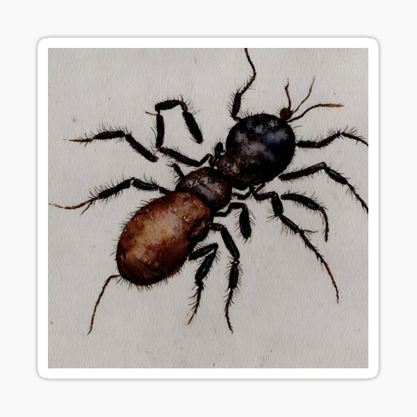 Item preview, Termite highly detailed watercolor painting designed and sold by DrawItOnce.
