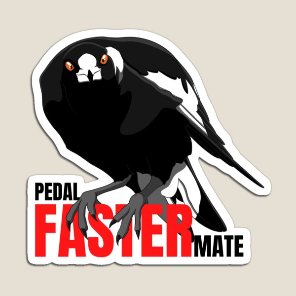 Item preview, Pedal faster mate, magpie swooping season designed and sold by aussiemaggieluv.
