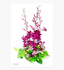 Floral Photographic Print