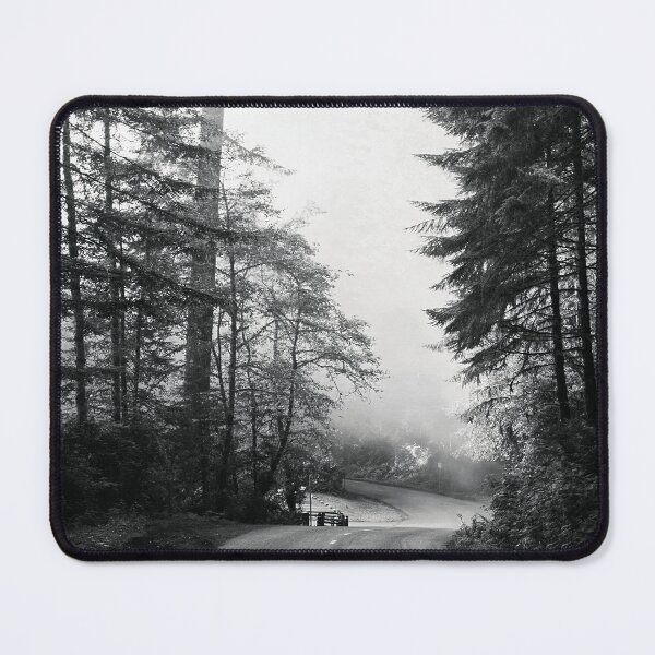 Item preview, Achromo Cali-Lady Bird Johnson Grove in Northern California Photography designed and sold by BossyCatHome.
