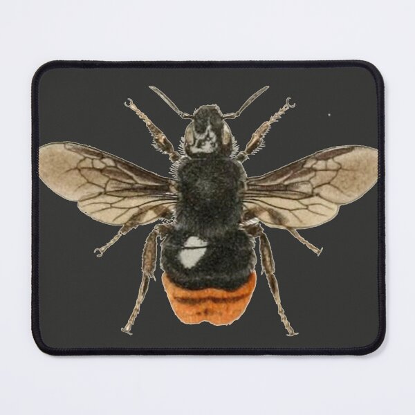 Item preview, bombs designed and sold by Ayqueabeja.
