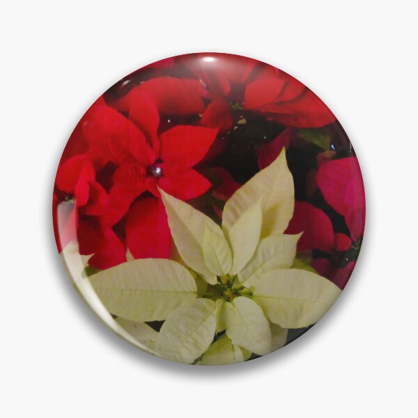 Item preview, Red and white poinsettias designed and sold by Shulie1.