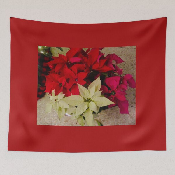 Item preview, Red and white poinsettias designed and sold by Shulie1.