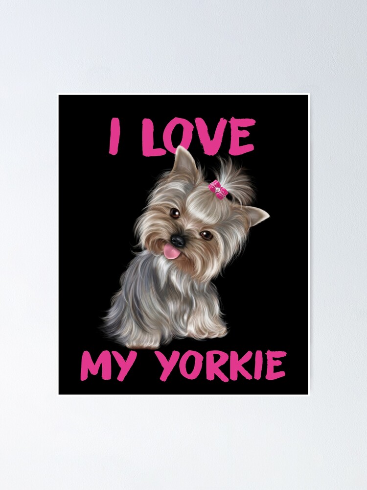 I 2024 love yorkies