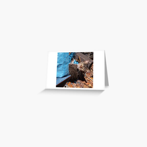 No, I Wasn't Playing in This Tarp Greeting Card