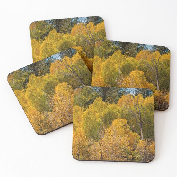 Item preview, October Aspens designed and sold by Viv Thompson Photography .