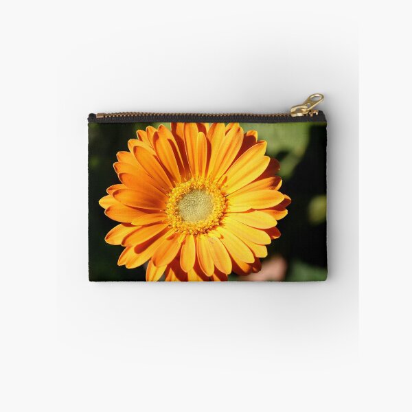 Item preview, Close-up of an orange gazania flower from the daisy family, Asteraceae designed and sold by vanessal.