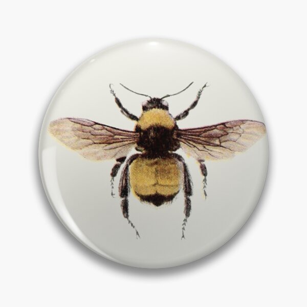 Item preview,  bombs designed and sold by Ayqueabeja.
