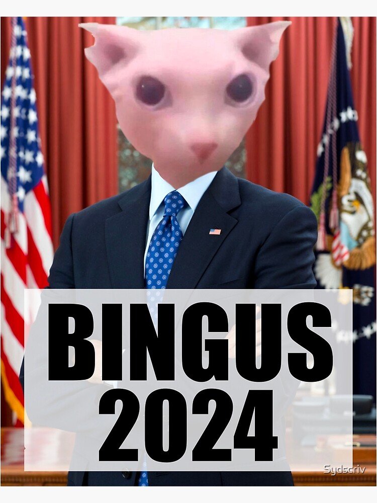 "Bingus 2024 funny cat meme political" Poster for Sale by Sydscriv