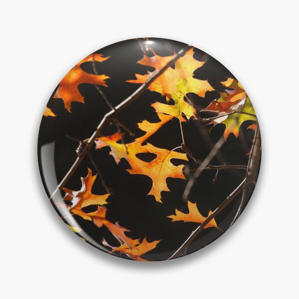 Item preview, Maple (Acer palmatum), red autumn leaves on a tree, dark background designed and sold by Torsten  Krüger.