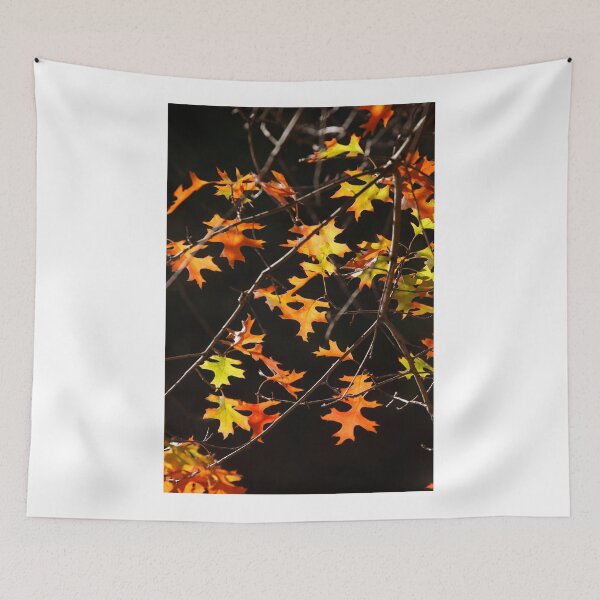 Item preview, Maple (Acer palmatum), red autumn leaves on a tree, dark background designed and sold by Torsten  Krüger.