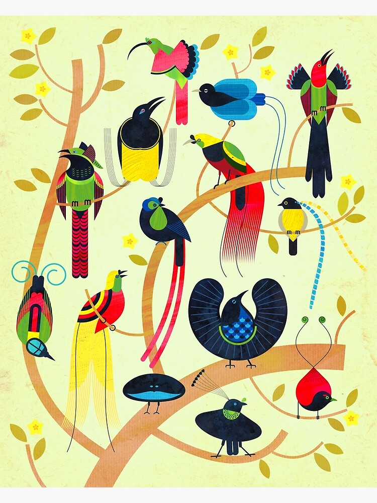 Birds of Paradise by scottpartridge
