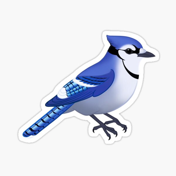 Item preview, Blue Jay - Bird Collection  designed and sold by StarscapeNW.