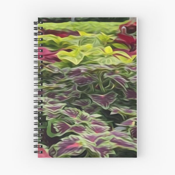 Item preview, Houseplant appreciation day ,nature,garden,solenostemon designed and sold by Mialunaa.