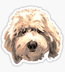 Lucky Labradoodle Face ~ Golden Sticker