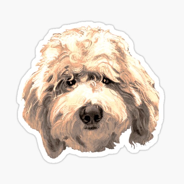 Vista previa del artículo con la obra «Cara de labradoodle afortunado ~ dorado», diseñado y vendido por Jane Oriel.