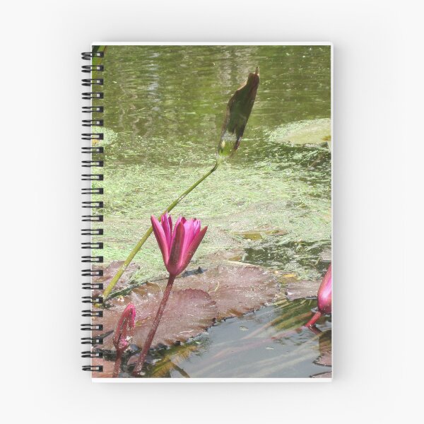 Item preview, Cooling Off designed and sold by rosiebrown.