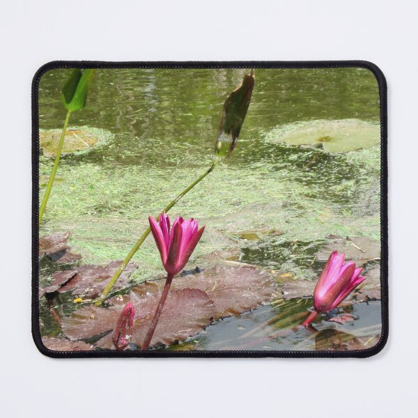 Item preview, Cooling Off designed and sold by rosiebrown.