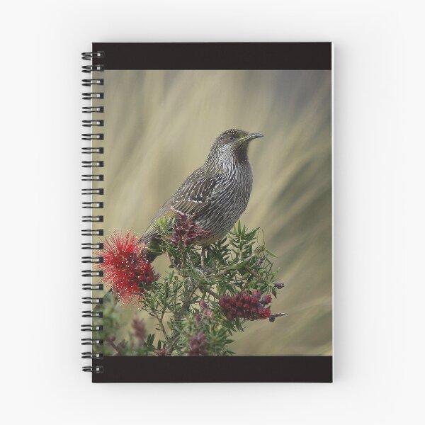 Item preview, Pájaro de Little Wattle designed and sold by UncaDeej.