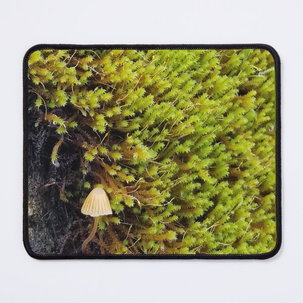 Item preview, Wild mushroom growing from moss near the American River in Auburn, CA. designed and sold by iAmAnAstronaut-.