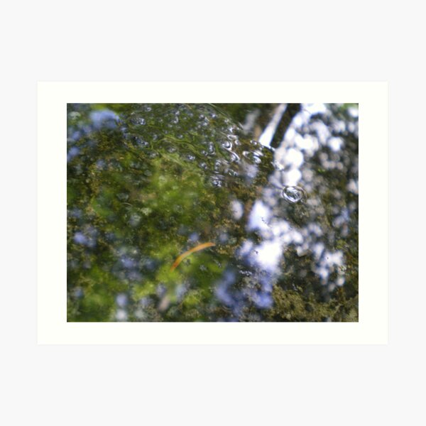 Watery Green Art Print