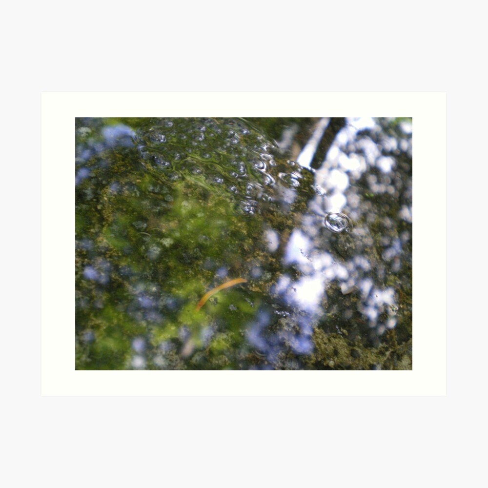 Watery Green Art Print