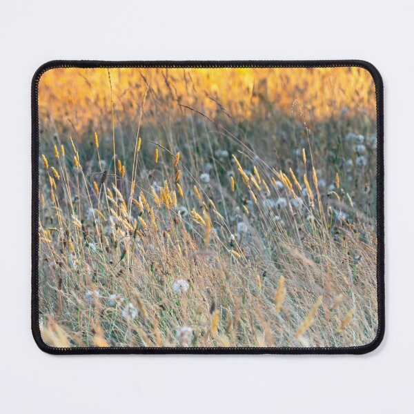 Item preview, Field of Gold (2) designed and sold by sarahfmorris.