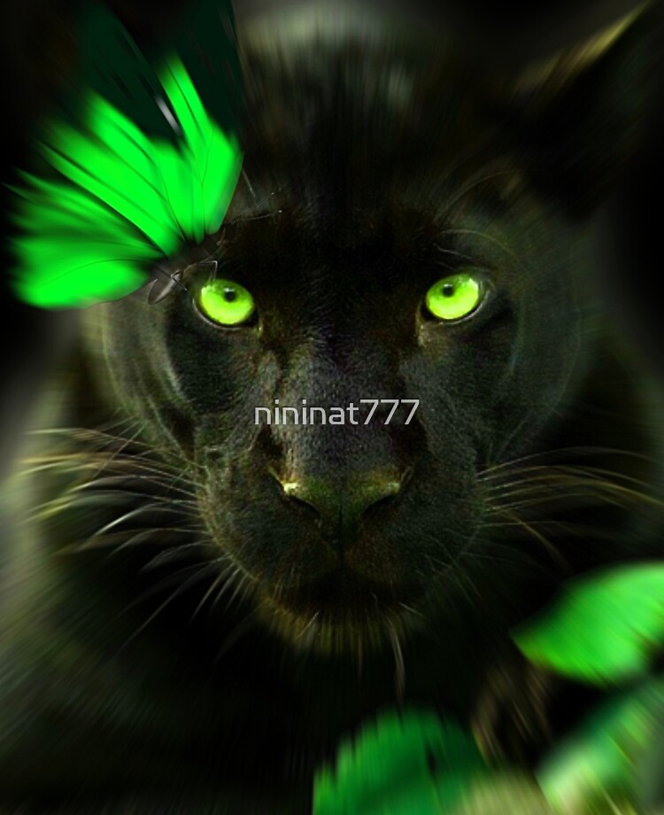 Photos Panthers The Jungle Book, Bagheera Cartoons 600x800