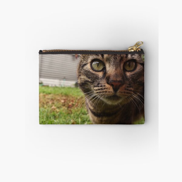 Artikelvorschau, Katze entworfen und verkauft von ReljaX.